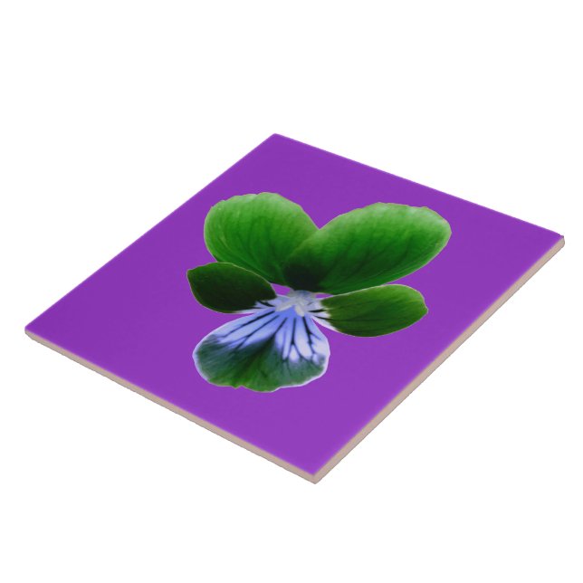 Green Pansy Tile (Side)