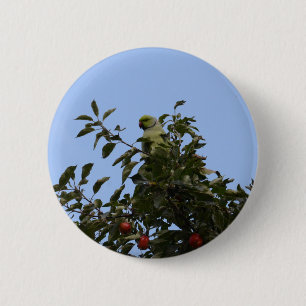 Green Parakeet 2 Inch Round Button