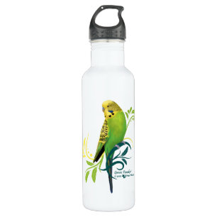 Green Parakeet 710 Ml Water Bottle
