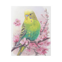 Green Parakeet and Cherry Blossoms