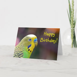 Green parakeet birthday greeting card