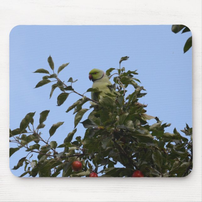 Green Parakeet Mouse Pad (Front)