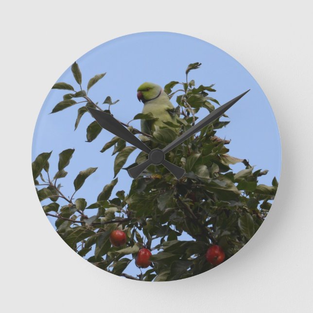 Green Parakeet Round Clock (Front)
