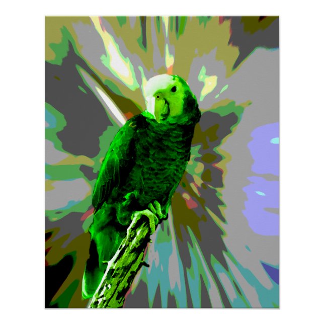 Green Parrot 6537  Poster (Front)