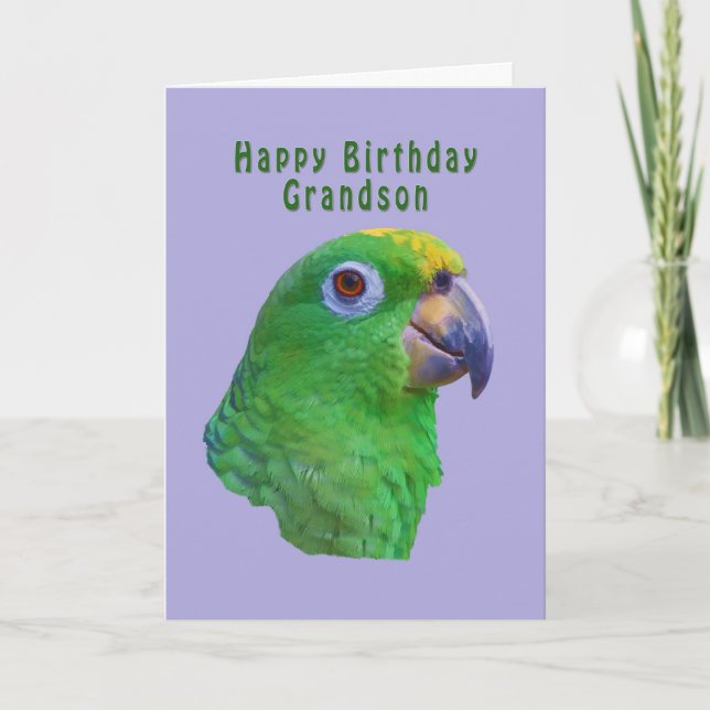 Green Parrot Birthday Greeting Card, Grandson Card (Front)