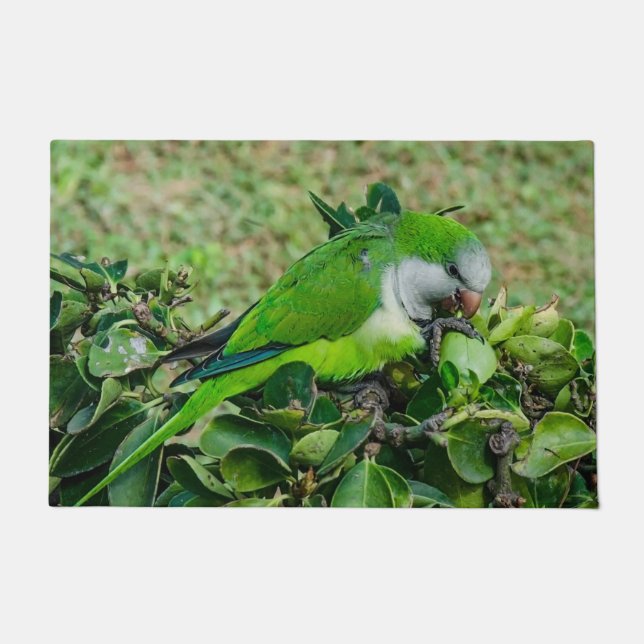 Green parrot doormat (Front)