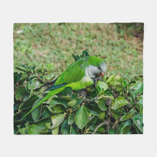 Green parrot fleece blanket (Front (Horizontal))