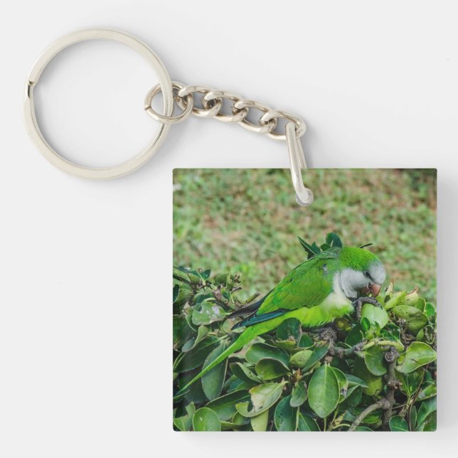 Green parrot keychain (Front)