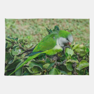 Green parrot kitchen towel