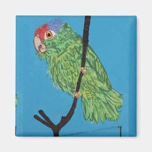 green parrot magnet