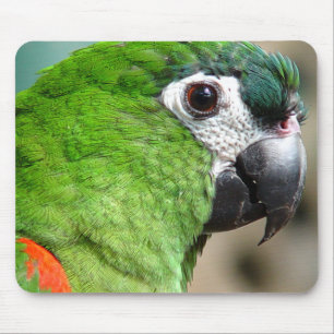 Green Parrot Mousepad