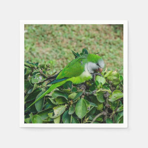 Green parrot napkin