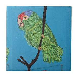 green parrot on blue tile