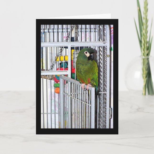 Green Parrot Portrait Card (Front)