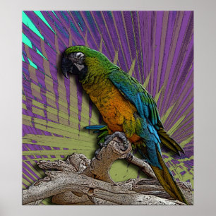 Green Parrot poster
