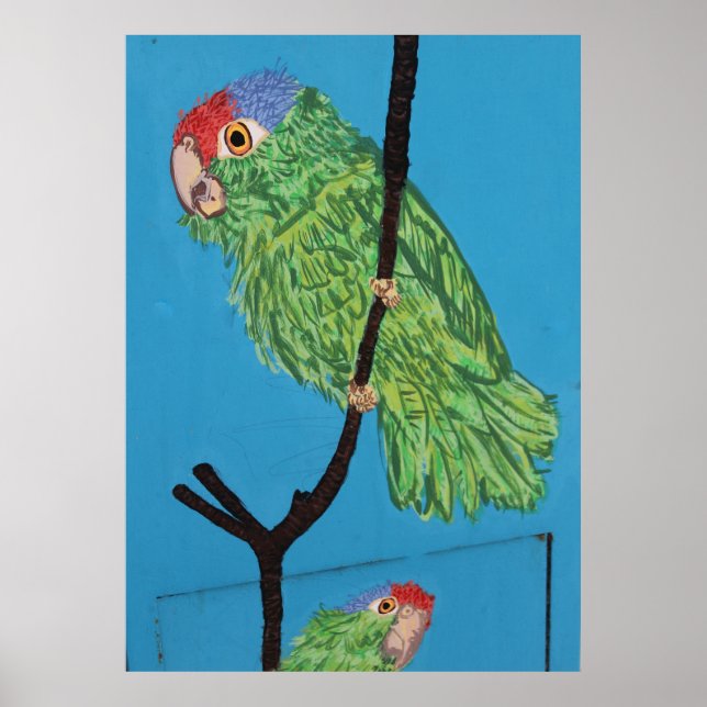 green parrot poster (Front)