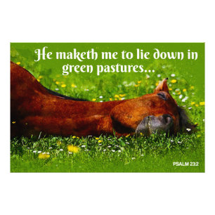 Green Pastures  Photo Print