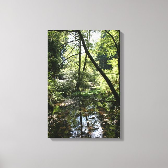 "Green Peace", Muir Woods Canvas Print (Front)