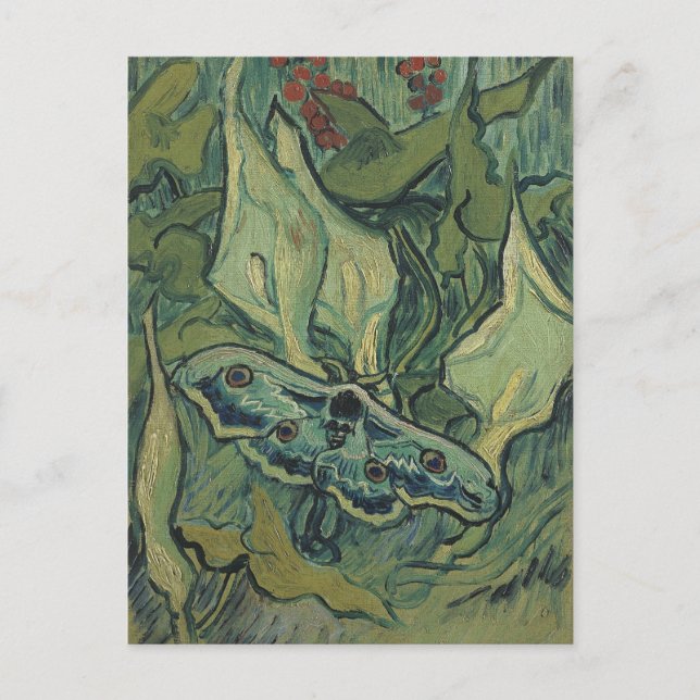 Green Peacock (Emperor) Moth by Vincent van Gogh Postcard (Front)