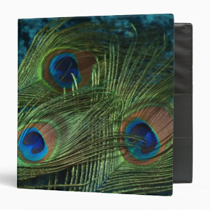 Green Peacock Feather Binder