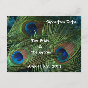 Green Peacock Feathers Save the Date Announcement Postcard