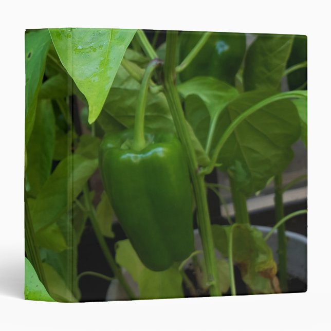 Green Peppers Binder (Front/Spine)
