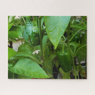Green Peppers Jigsaw Puzzle