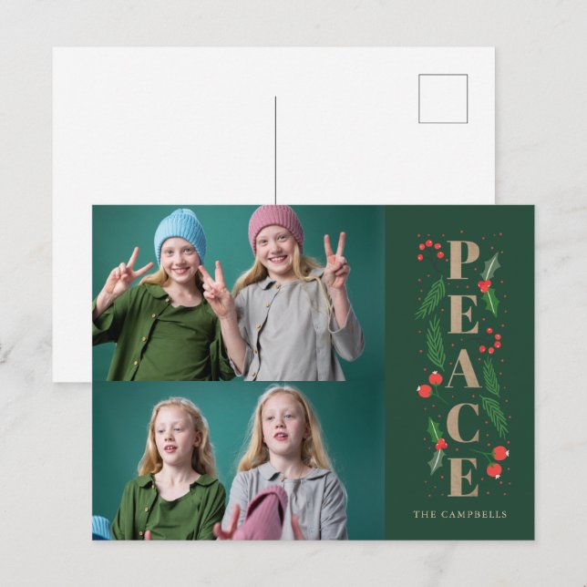 Green Pine Holly Berries Peace Multiple Photo  Holiday Postcard (Front/Back)