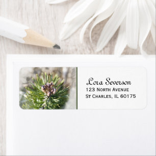 Green Pine Tree Branch Return Address
