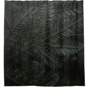 Green pine tree leaves