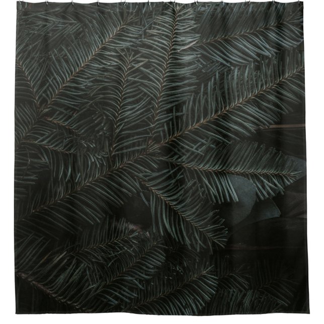 Green pine tree leaves (Front)