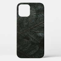 Green pine tree leaves