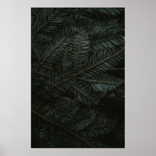 Green pine tree leaves poster