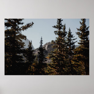 GREEN PINE TREES NEAR MOUNTAIN DURING DAYTIME POSTER