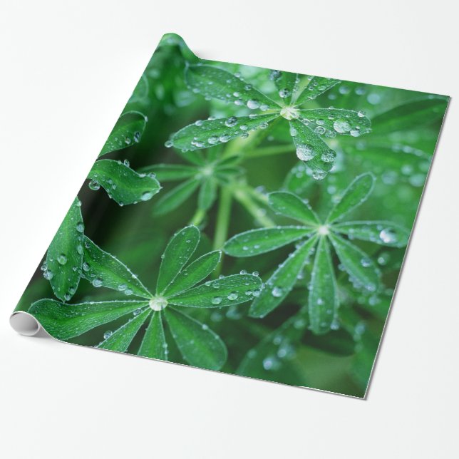 Green Pinwheels of Leaves with Raindrops Wrapping Paper (Unrolled)