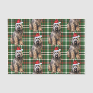 Green Plaid Briard Shepherd Dog Lover Holiday Tissue Paper
