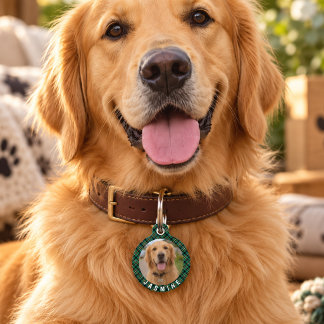 Green Plaid Custom Pet Photo Name & Phone Tag
