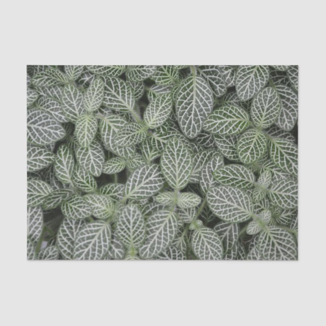 Green Plant Leaves Botanical Tissue Paper (Front)