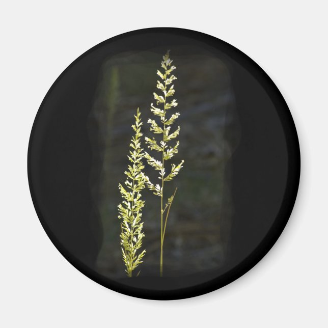 Green Plant Magnet (Front)