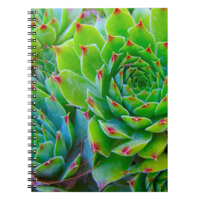Green Plant Notebook (Front)