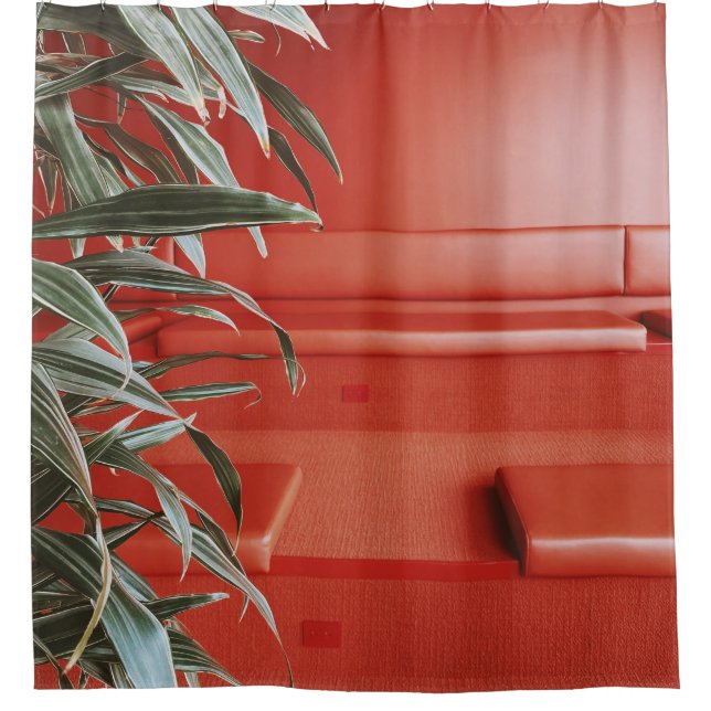 Green plant on red couch (Front)
