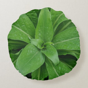 Green Plant Round Pillow
