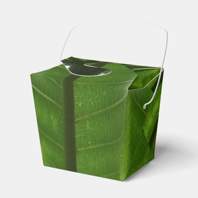 Green Plant Take Out Favour Box (Front Side)