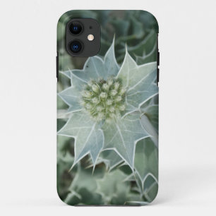 Green Plant Thorn Summer iPhone case