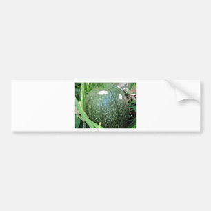 Green Pumpkin Bumper Sticker