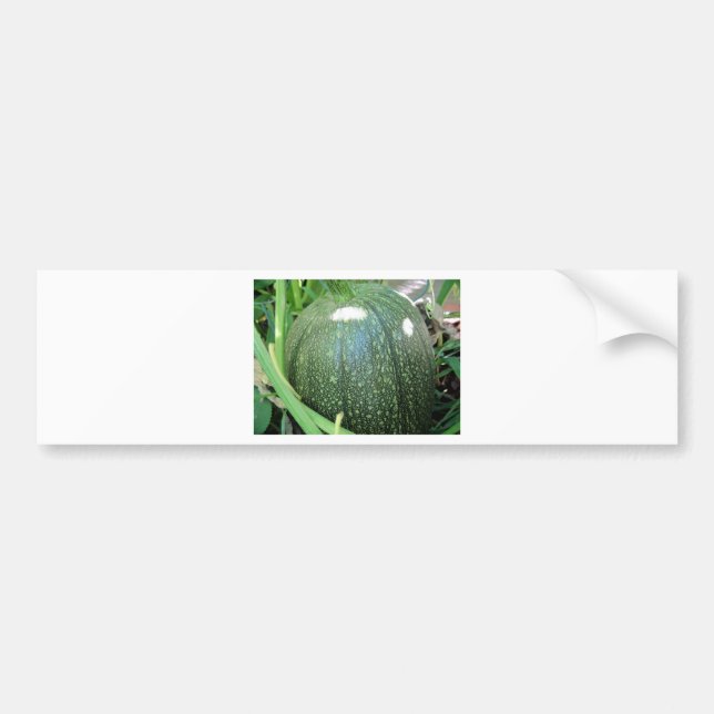 Green Pumpkin Bumper Sticker (Front)