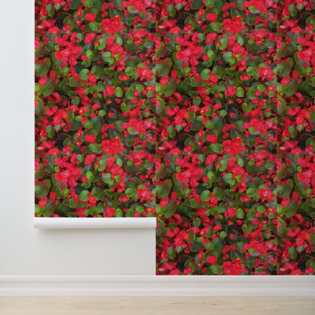 Green Red Pink Floral Garden Colourful Botanical Wallpaper (Application)