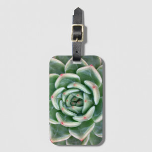 Green Red Tipped Succulent Luggage Tag