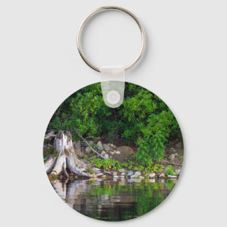 Green Reflections Button Keychain