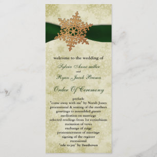 Green ribbon , rustic snowflake program